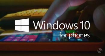 Win10手机版最后一轮内测即将启动，IT浪潮中的移动开发新篇章