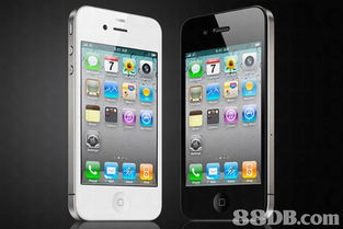 计算机软件开发 从语言到应用的全方位解析